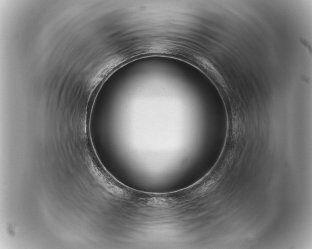 X0000100890938200807011153