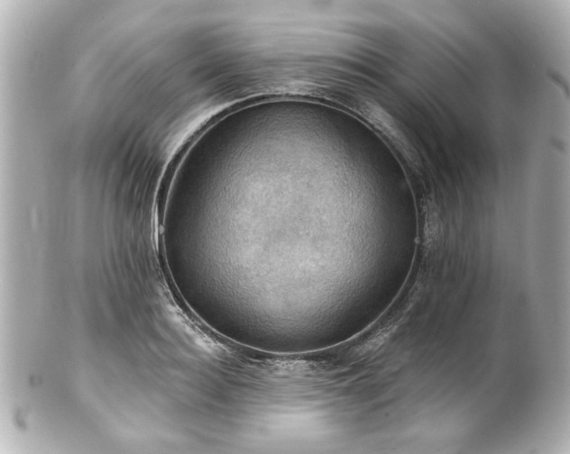 X0000100890940200807011154