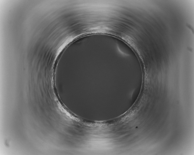 X0000100890941200807011154