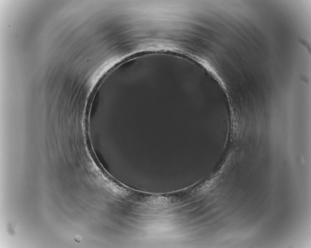 X0000100890943200807011154