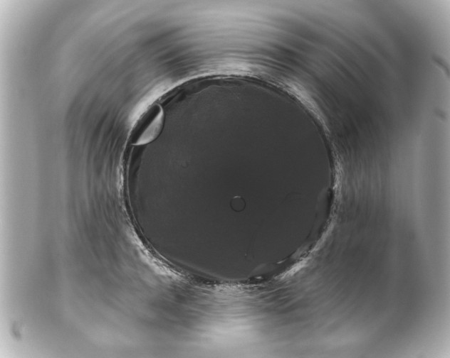 X0000100890944200807011154