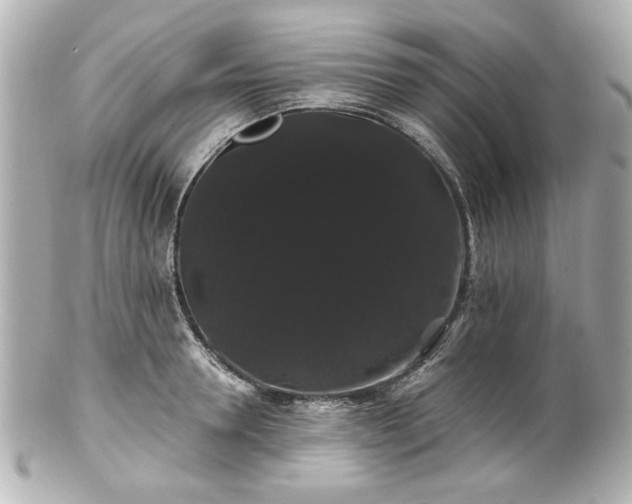 X0000100890946200807011154