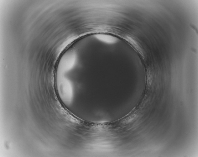 X0000100890950200807011154
