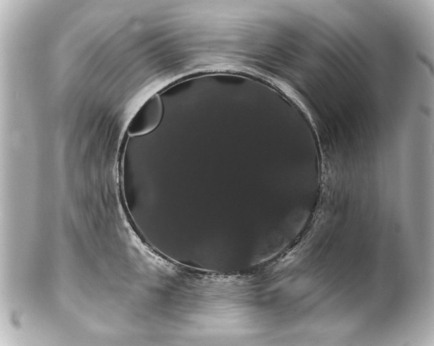 X0000100890951200807011154