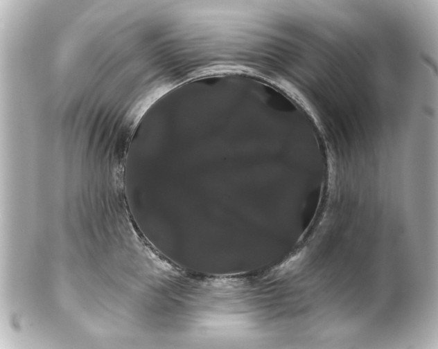X0000100890953200807011154