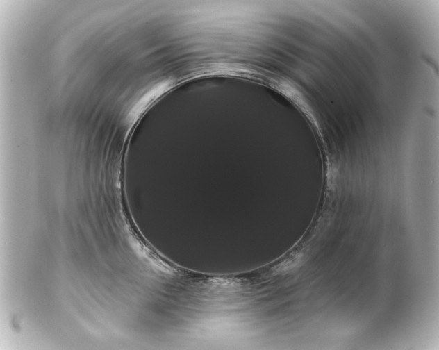 X0000100890954200807011154