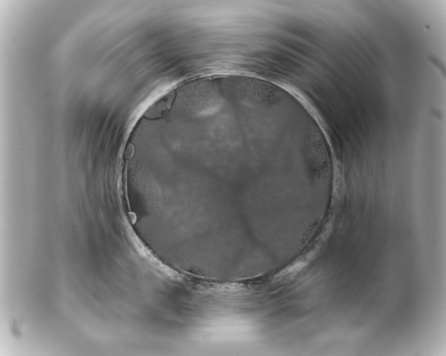 X0000100890957200807011154