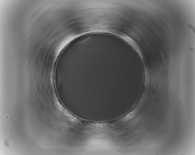 X0000100890958200807011154