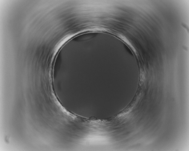 X0000100890959200807011154