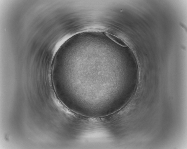 X0000100890960200807011154