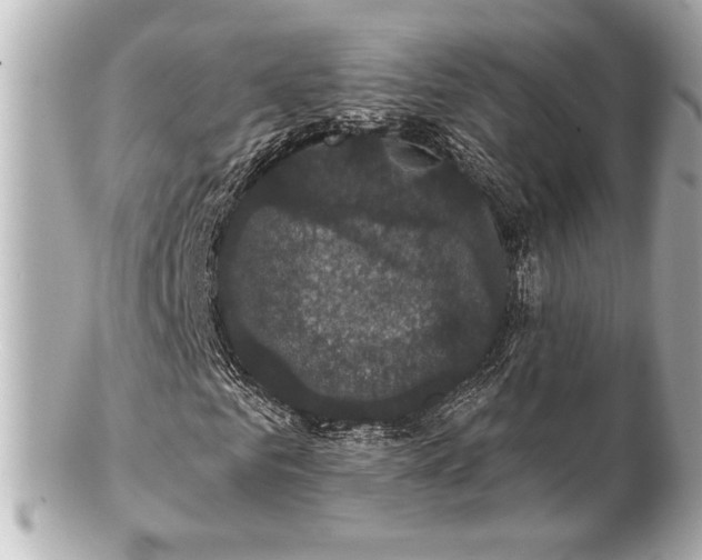 X0000100890961200807011153