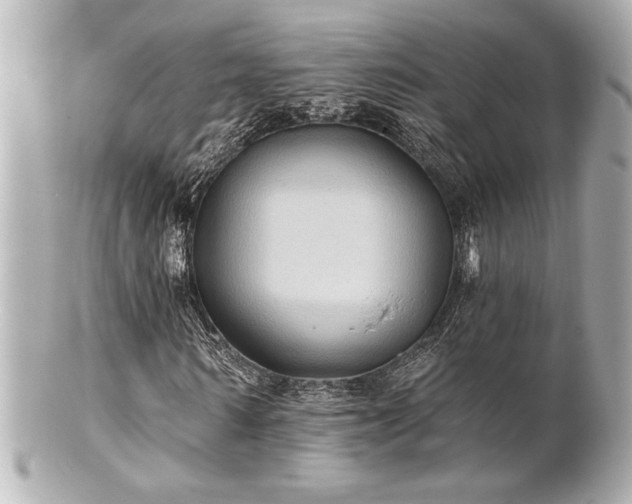 X0000100890962200807011153