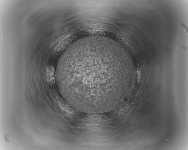 X0000100890963200807011153