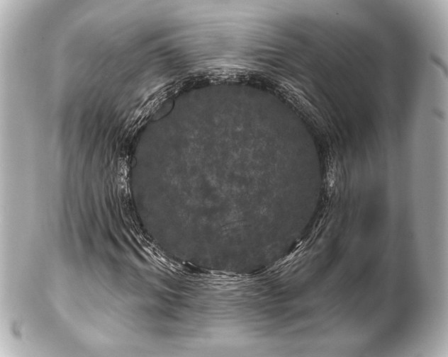 X0000100890964200807011153