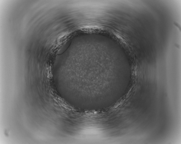 X0000100890965200807011153