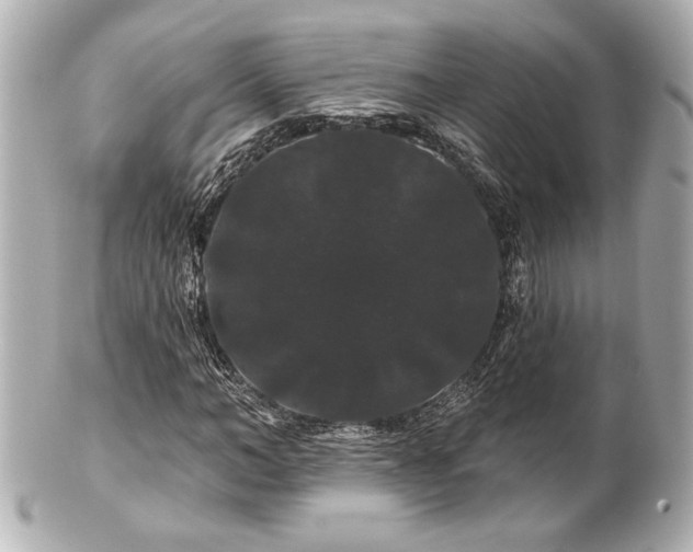 X0000100890966200807011153