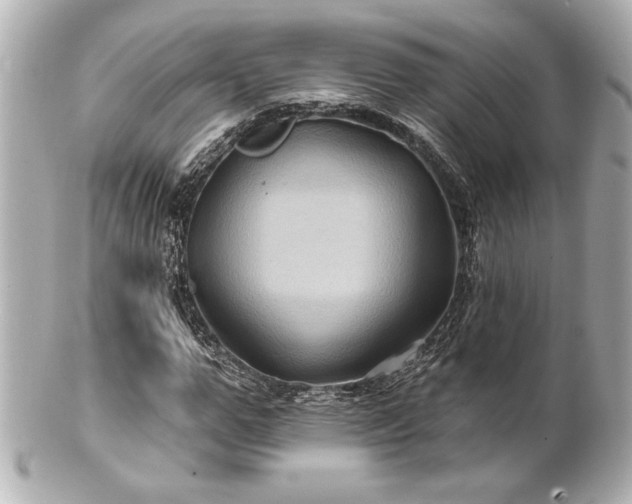 X0000100890967200807011153