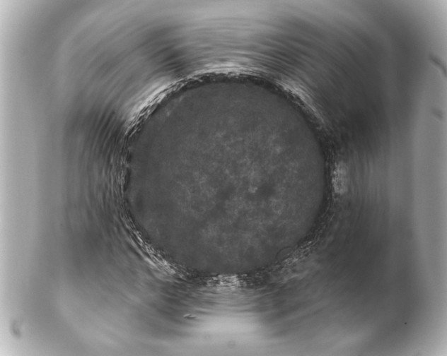 X0000100890968200807011153