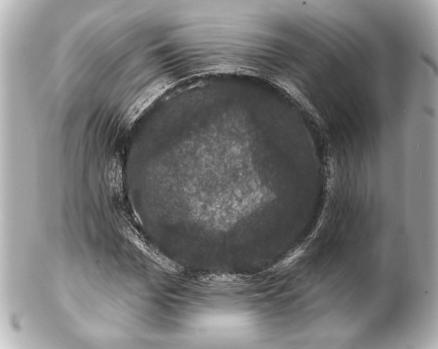 X0000100890969200807011153