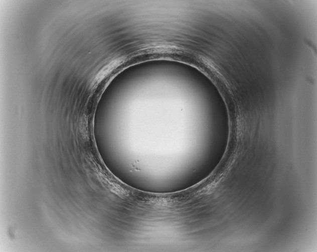 X0000100890970200807011153