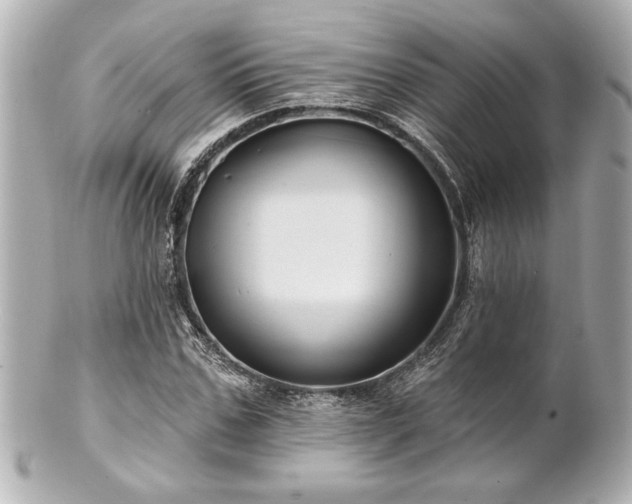 X0000100890971200807011153