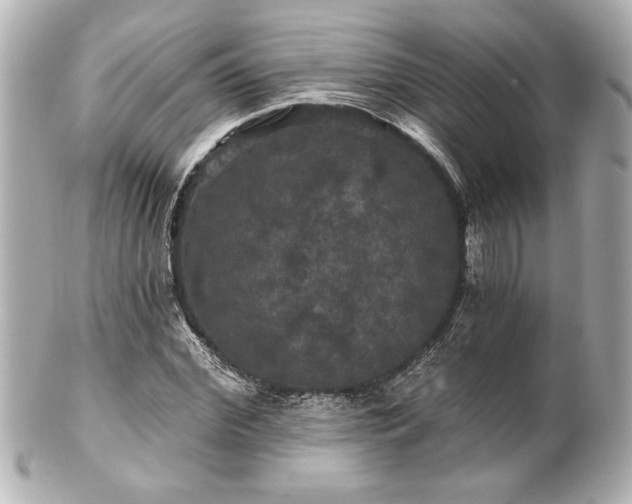 X0000100890972200807011153