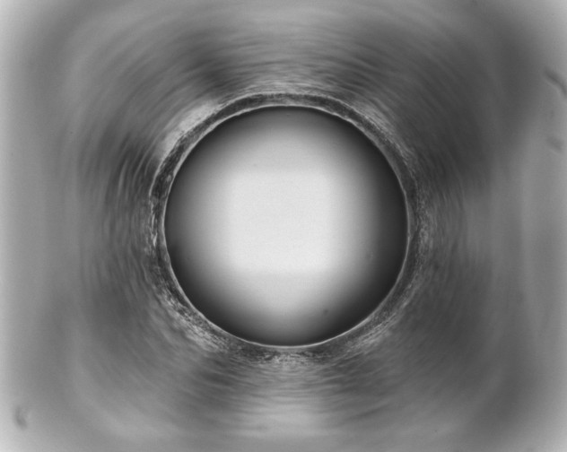 X0000100890974200807011153