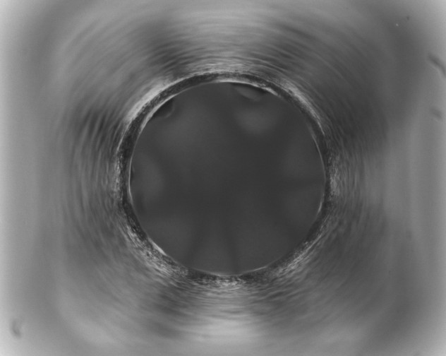 X0000100890975200807011153