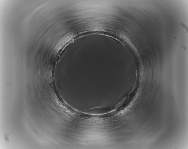 X0000100890977200807011153