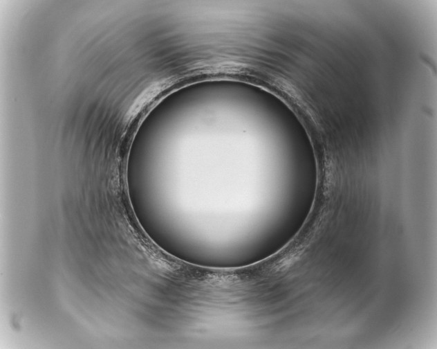 X0000100890978200807011153