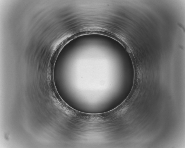 X0000100890979200807011153
