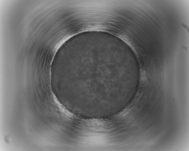 X0000100890980200807011153