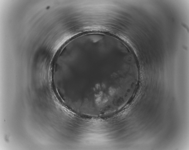 X0000100890983200807011153