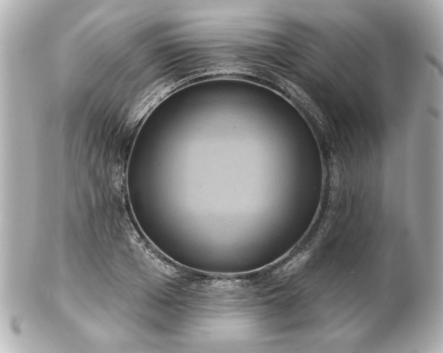 X0000100890985200807011153