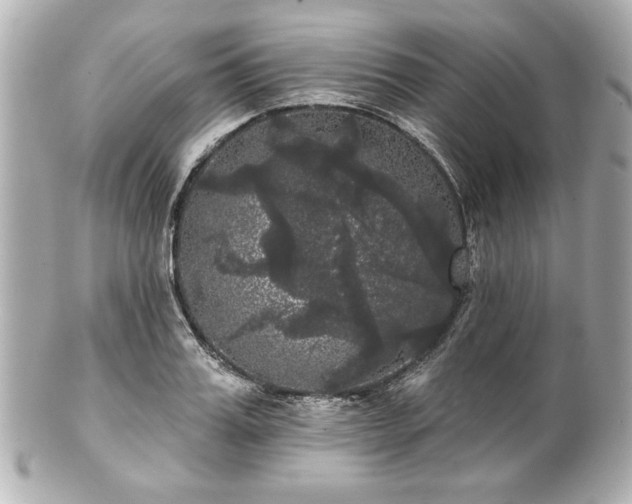X0000100890987200807011153
