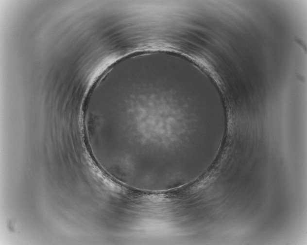 X0000100890990200807011153