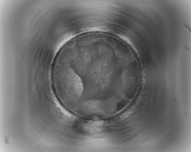 X0000100890991200807011153