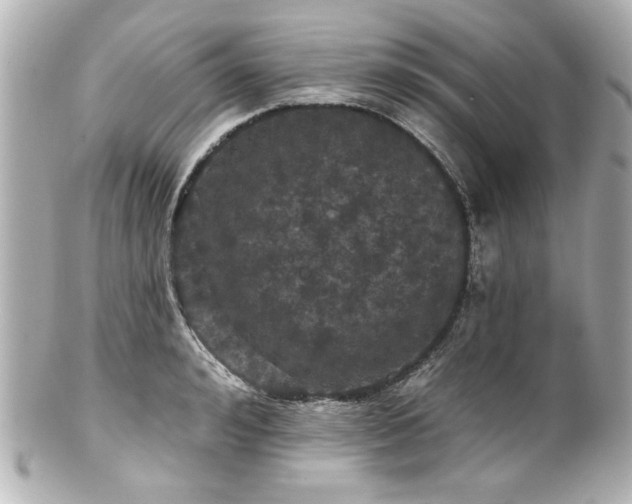 X0000100890992200807011153