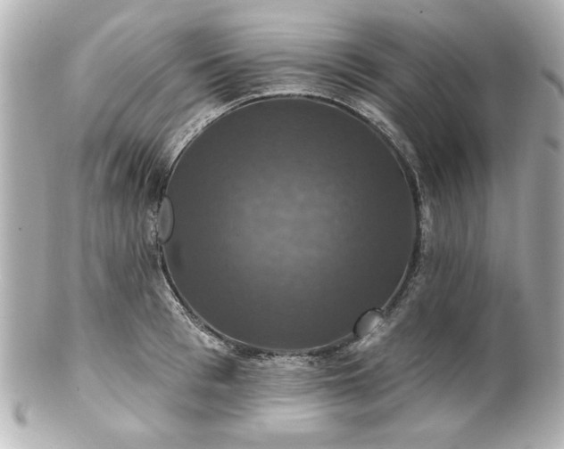 X0000100890993200807011153
