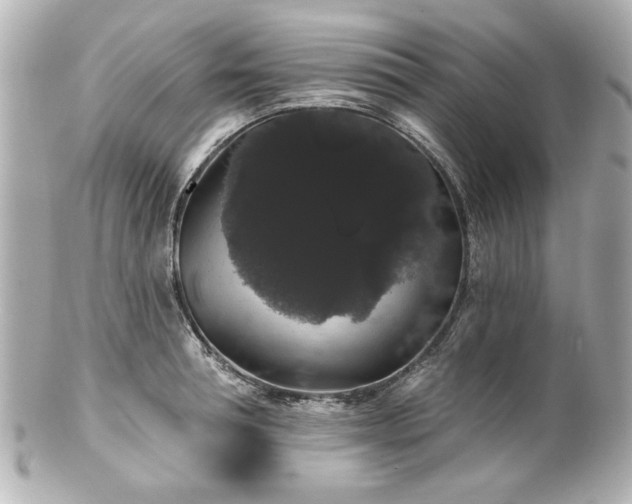 X0000100890994200807011153
