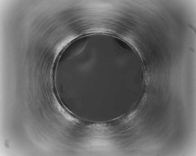 X0000100890995200807011153