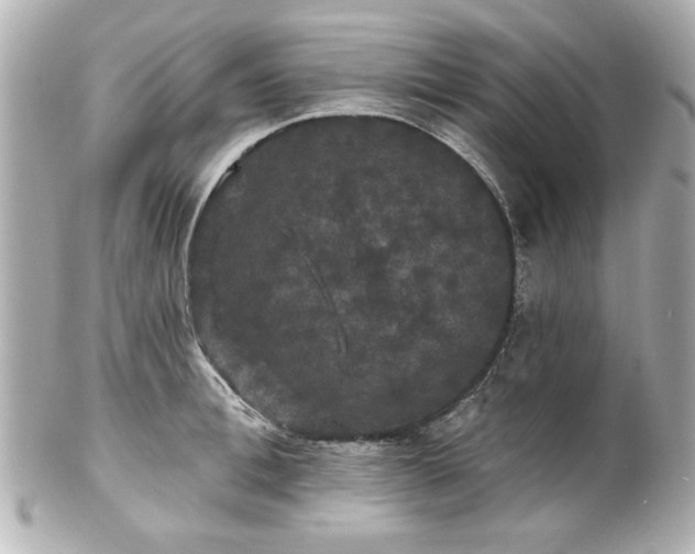 X0000100890996200807011153