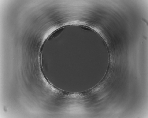 X0000100890998200807011153