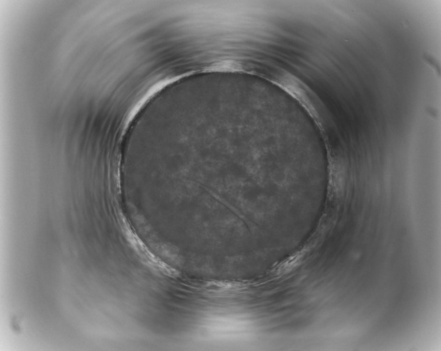 X0000100891000200807011153
