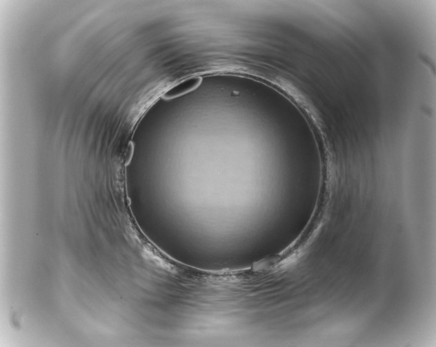 X0000100891001200807011153