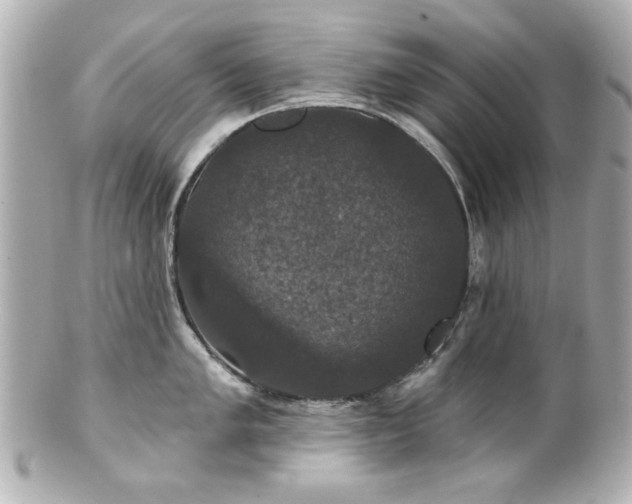 X0000100891005200807011152