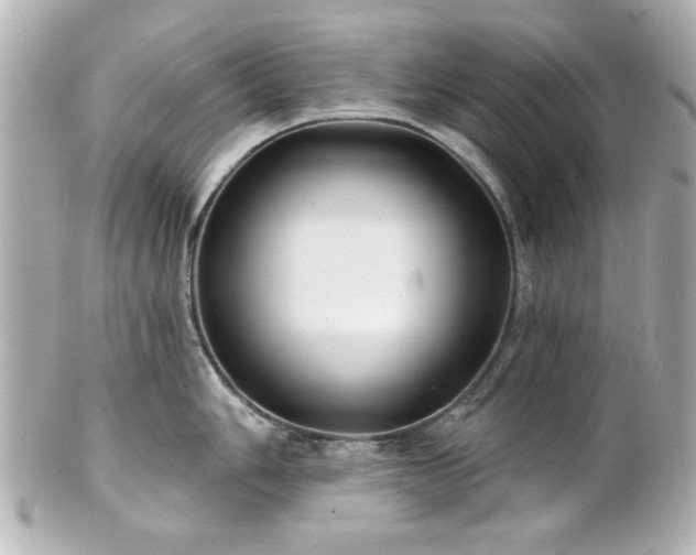 X0000100891006200807011152