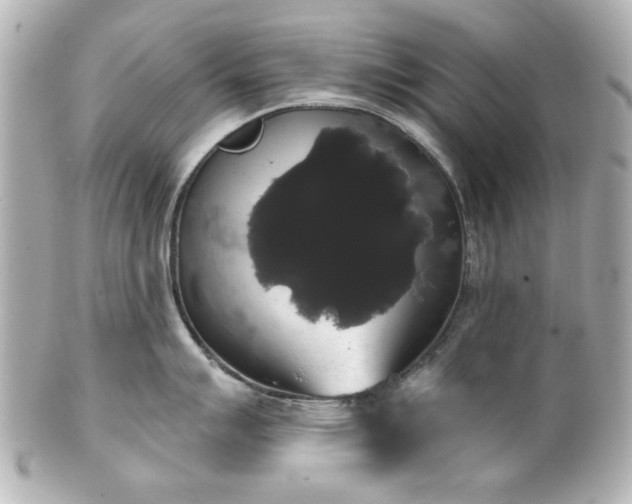 X0000100891007200807011152