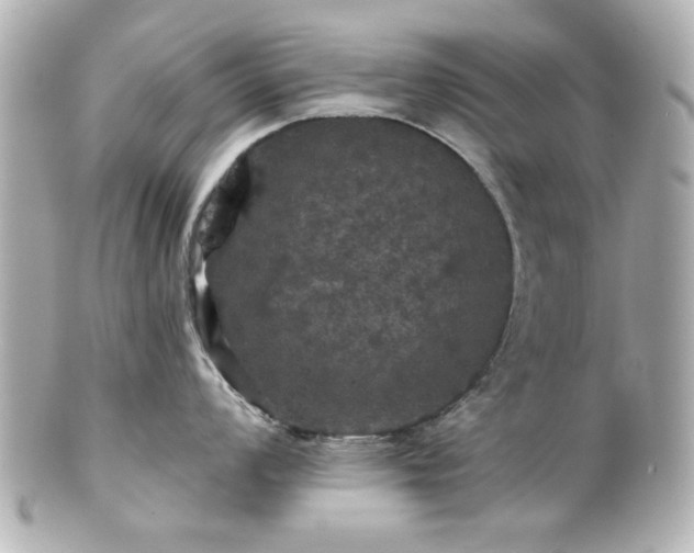 X0000100891008200807011152