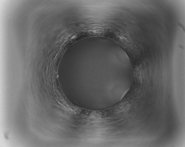 X0000100891009200807011152